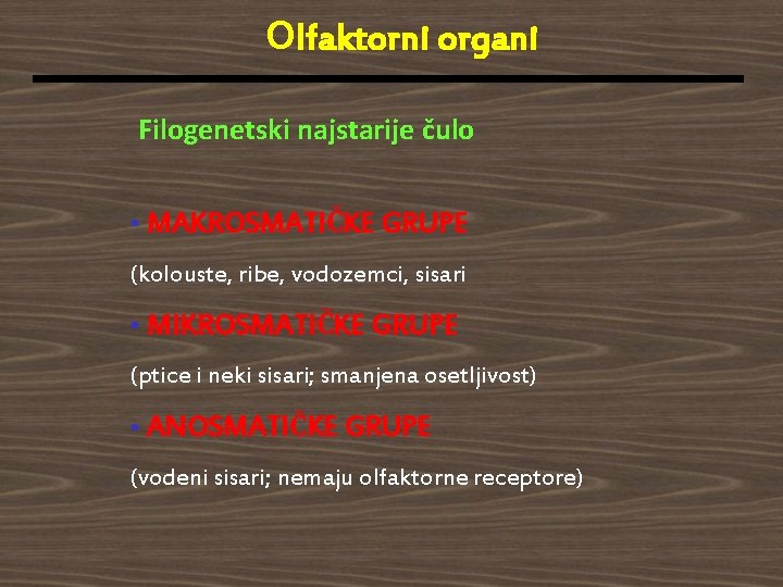 Olfaktorni organi Filogenetski najstarije čulo • MAKROSMATIČKE GRUPE (kolouste, ribe, vodozemci, sisari • MIKROSMATIČKE