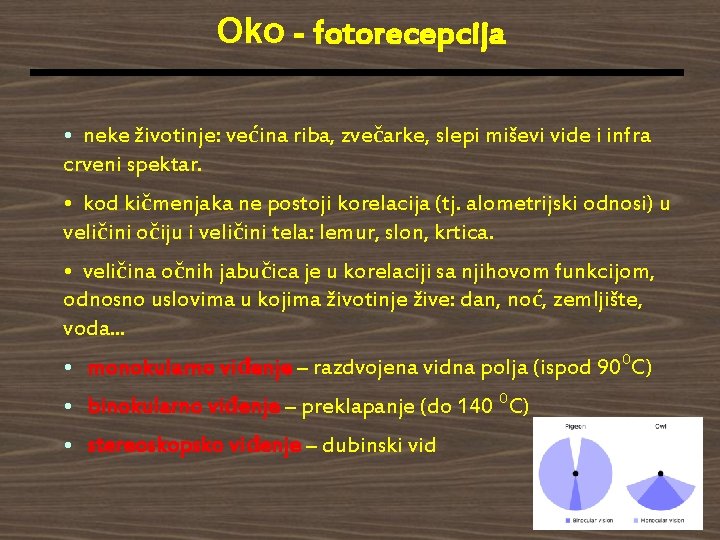 Oko - fotorecepcija • neke životinje: većina riba, zvečarke, slepi miševi vide i infra