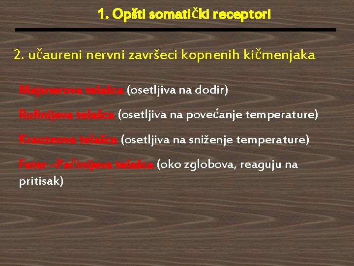 1. Opšti somatički receptori 2. učaureni nervni završeci kopnenih kičmenjaka Majsnerova telašca (osetljiva na