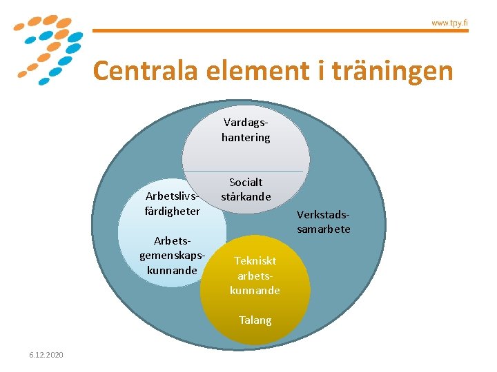 Centrala element i träningen Vardagshantering Arbetslivsfärdigheter Arbetsgemenskapskunnande Socialt stärkande Tekniskt arbetskunnande Talang 6. 12.