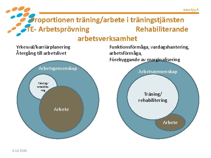 Proportionen träning/arbete i träningstjänsten TE- Arbetsprövning Rehabiliterande arbetsverksamhet Yrkesval/karriärplanering Återgång till arbetslivet Arbetsgemenskap Träning/