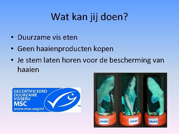 Wat kan jij doen? • Duurzame vis eten • Geen haaienproducten kopen • Je