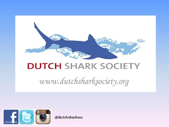 @dutchsharksoc 