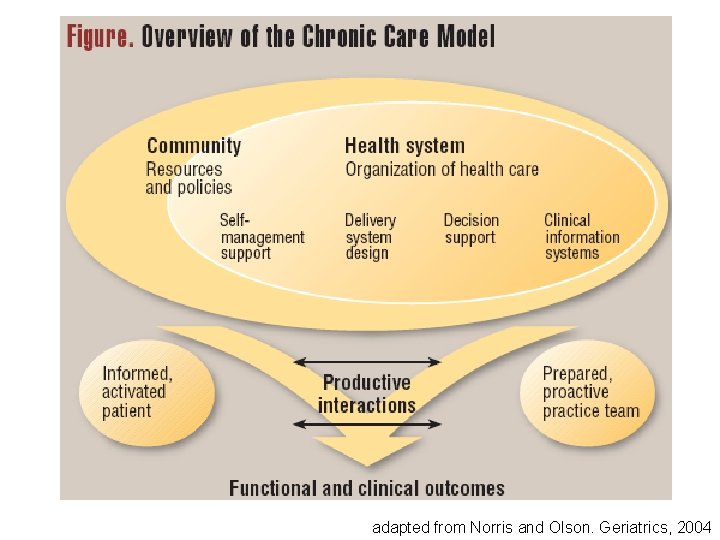 adapted from Norris and Olson. Geriatrics, 2004 