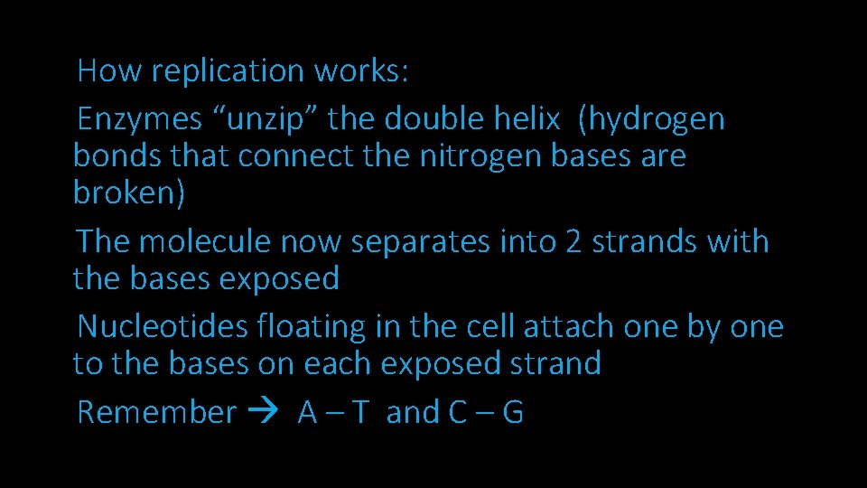 How replication works: Enzymes “unzip” the double helix (hydrogen bonds that connect the nitrogen