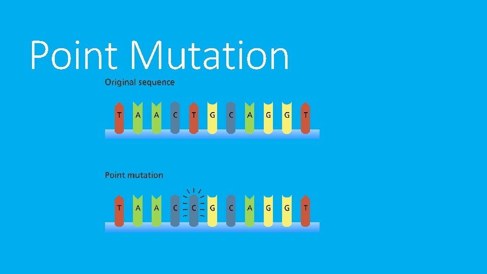 Point Mutation 