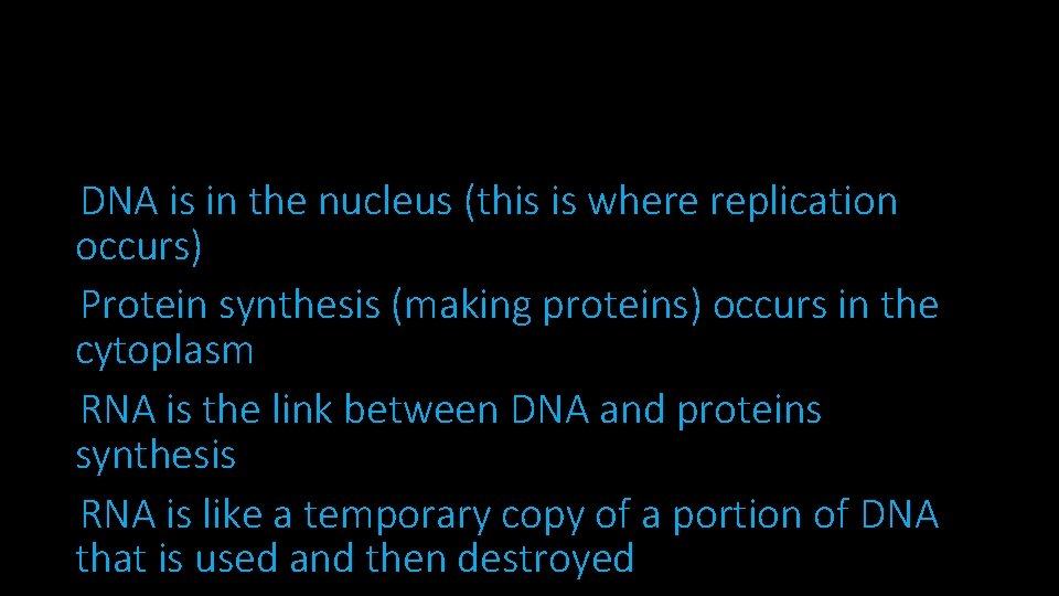 DNA is in the nucleus (this is where replication occurs) Protein synthesis (making proteins)