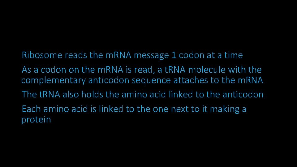 Ribosome reads the m. RNA message 1 codon at a time As a codon