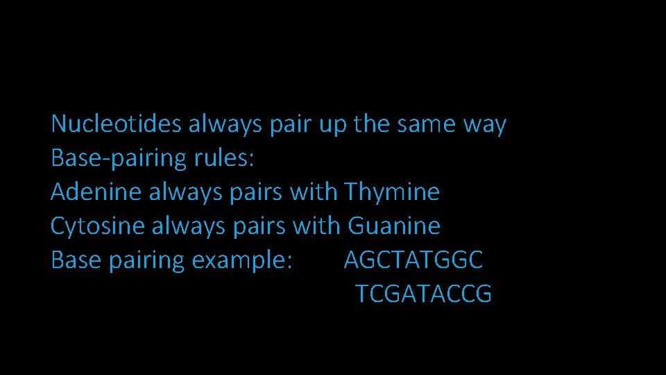 Nucleotides always pair up the same way Base-pairing rules: Adenine always pairs with Thymine