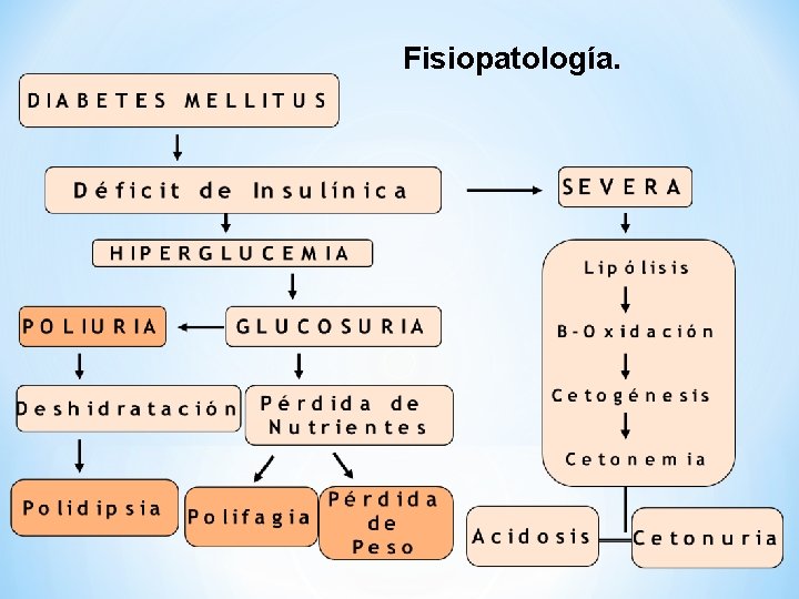 Fisiopatología. 