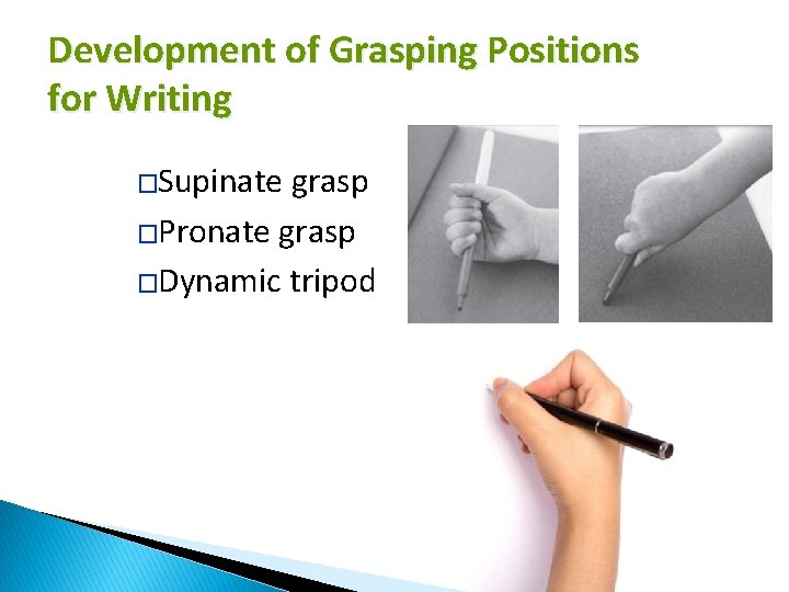 Development of Grasping Positions for Writing �Supinate grasp �Pronate grasp �Dynamic tripod 