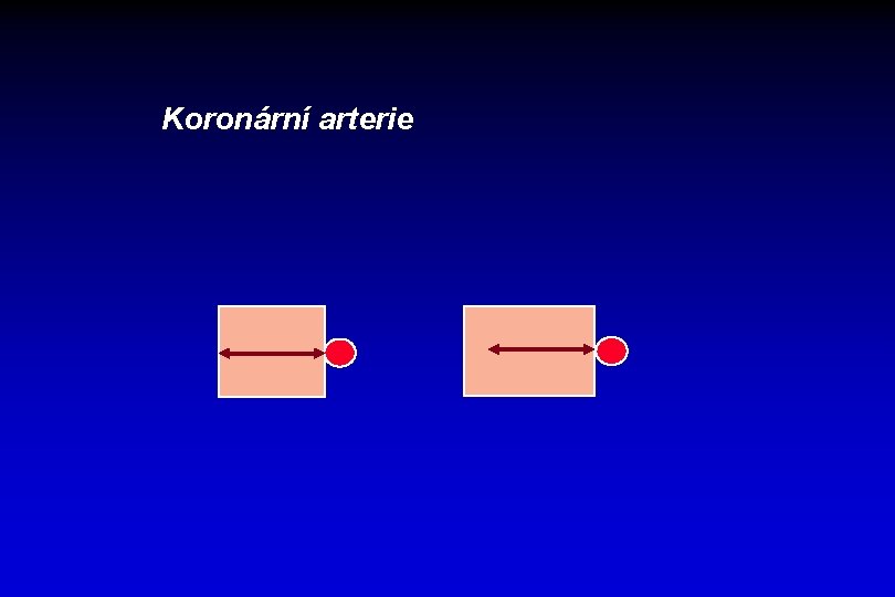 Koronární arterie 