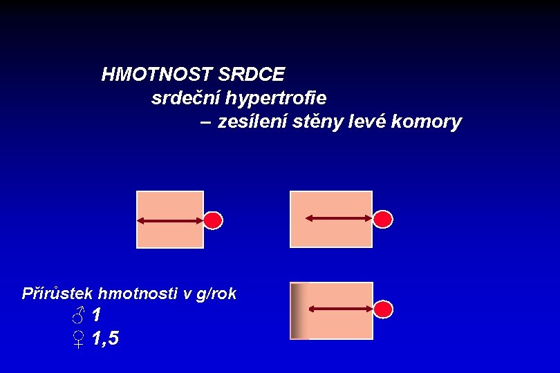 HMOTNOST SRDCE srdeční hypertrofie – zesílení stěny levé komory Přírůstek hmotnosti v g/rok ♂1