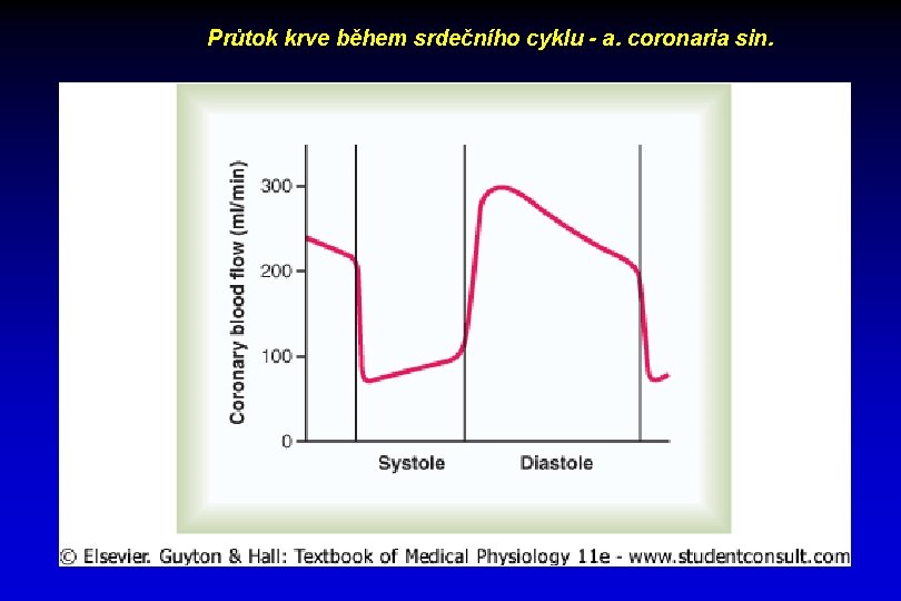 Průtok krve během srdečního cyklu - a. coronaria sin. 