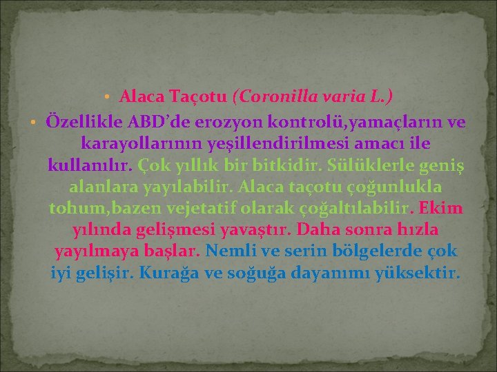  • Alaca Taçotu (Coronilla varia L. ) • Özellikle ABD’de erozyon kontrolü, yamaçların