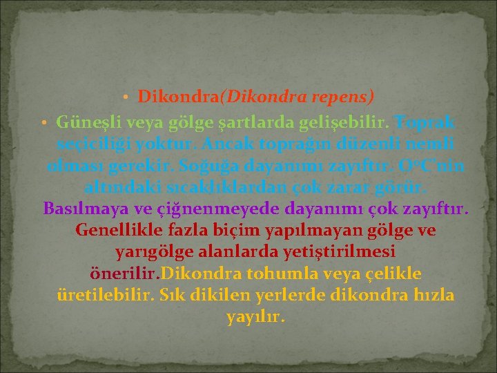  • Dikondra(Dikondra repens) • Güneşli veya gölge şartlarda gelişebilir. Toprak seçiciliği yoktur. Ancak