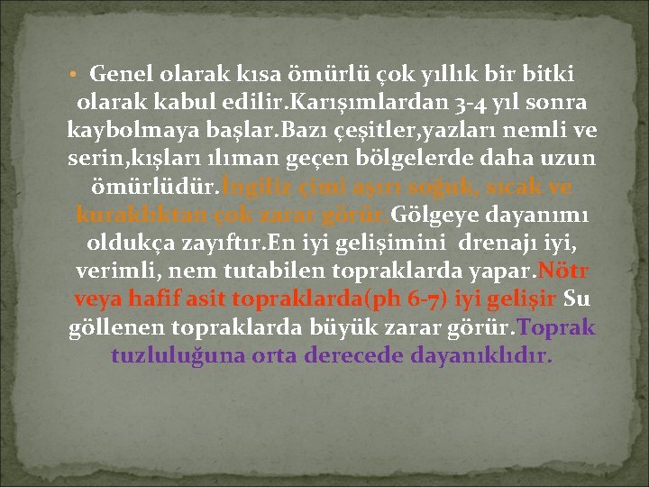  • Genel olarak kısa ömürlü çok yıllık bir bitki olarak kabul edilir. Karışımlardan