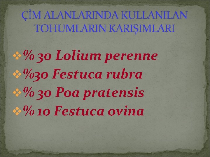 ÇİM ALANLARINDA KULLANILAN TOHUMLARIN KARIŞIMLARI v% 30 Lolium perenne v%30 Festuca rubra v% 30