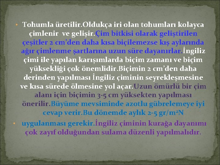  • Tohumla üretilir. Oldukça iri olan tohumları kolayca çimlenir ve gelişir. Çim bitkisi