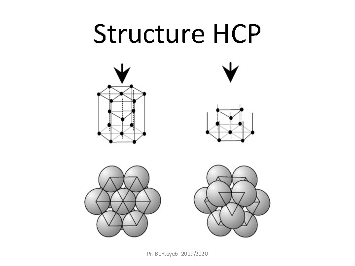 Structure HCP Pr. Bentayeb 2019/2020 