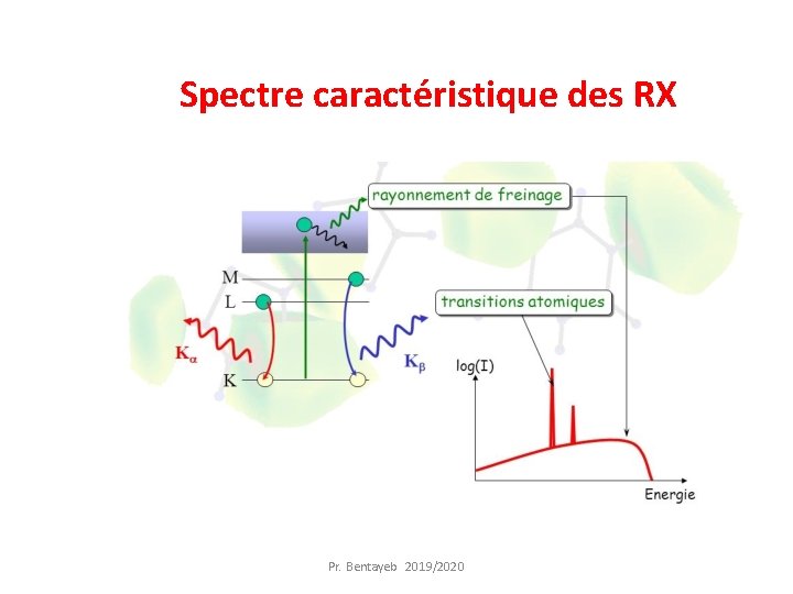 Spectre caractéristique des RX Pr. Bentayeb 2019/2020 