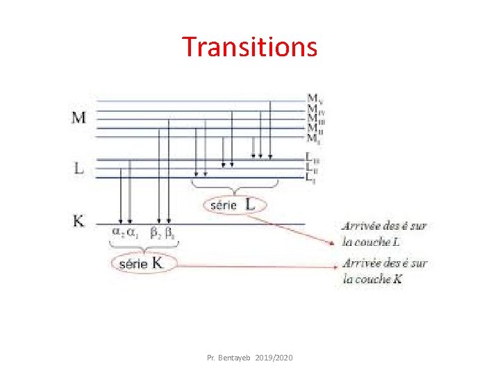 Transitions Pr. Bentayeb 2019/2020 