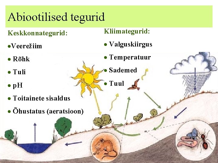 Abiootilised tegurid Keskkonnategurid: Kliimategurid: ·Veerežiim · Valguskiirgus · Rõhk · Temperatuur · Tuli ·