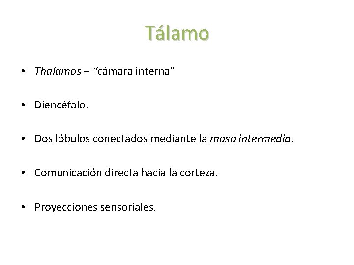 Tálamo • Thalamos – “cámara interna” • Diencéfalo. • Dos lóbulos conectados mediante la