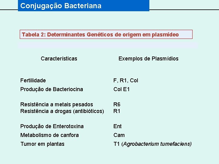 Conjugação Bacteriana Tabela 2: Determinantes Genéticos de origem em plasmídeo Características Exemplos de Plasmídios