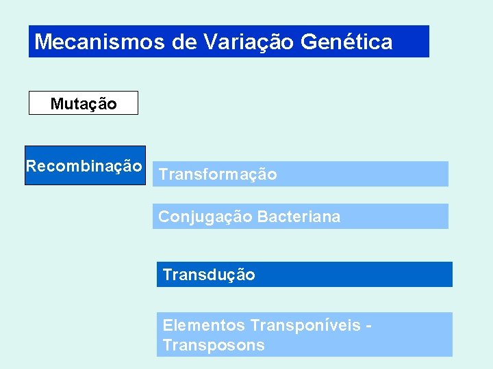 Mecanismos de Variação Genética Mutação Recombinação Transformação Conjugação Bacteriana Transdução Elementos Transponíveis - Transposons