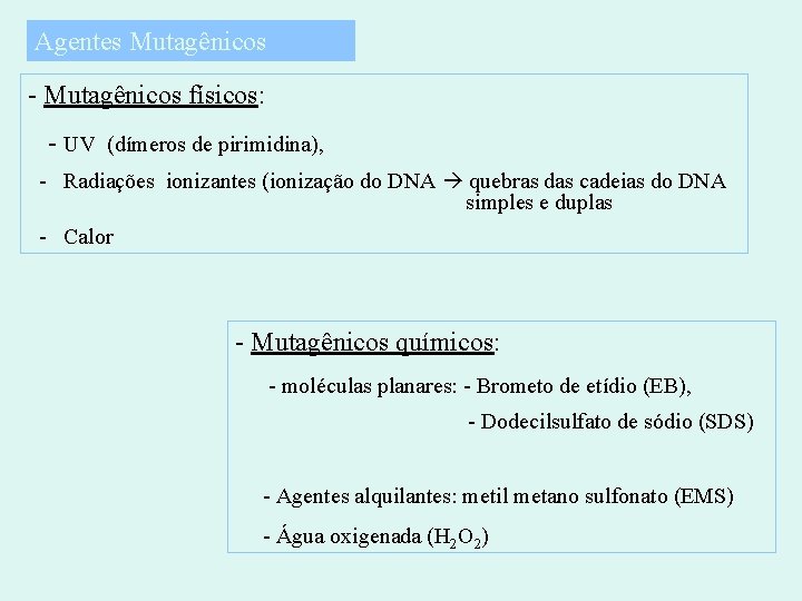 Agentes Mutagênicos - Mutagênicos físicos: - UV (dímeros de pirimidina), - Radiações ionizantes (ionização