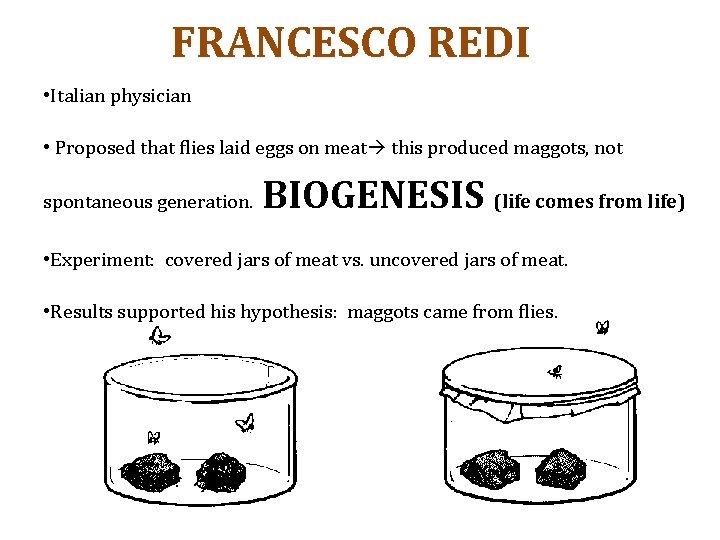 FRANCESCO REDI • Italian physician • Proposed that flies laid eggs on meat this