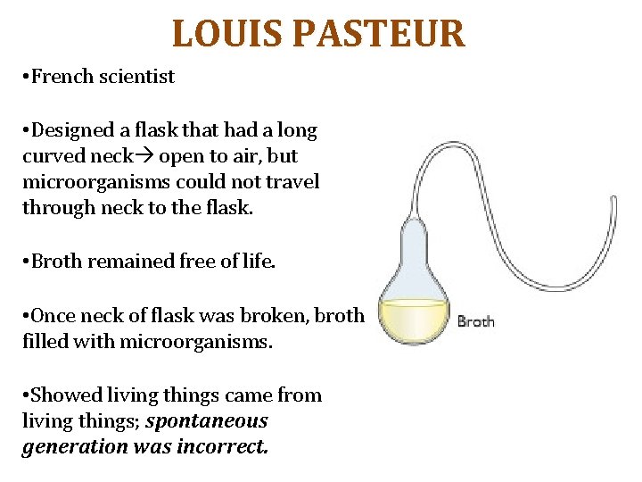 LOUIS PASTEUR • French scientist • Designed a flask that had a long curved