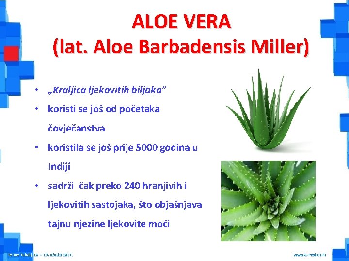 ALOE VERA (lat. Aloe Barbadensis Miller) • „Kraljica ljekovitih biljaka” • koristi se još