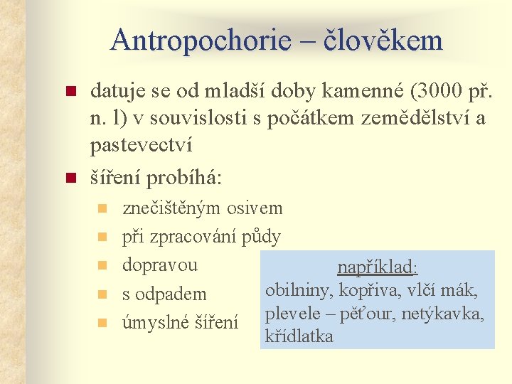 Antropochorie – člověkem n n datuje se od mladší doby kamenné (3000 př. n.