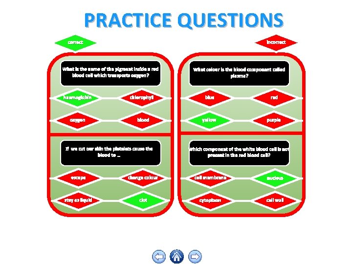 PRACTICE QUESTIONS incorrect What is the name of the pigment inside a red blood