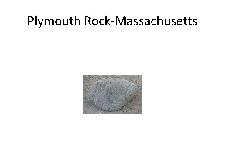 Plymouth Rock-Massachusetts 