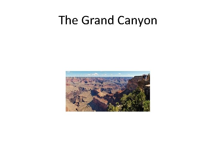 The Grand Canyon 