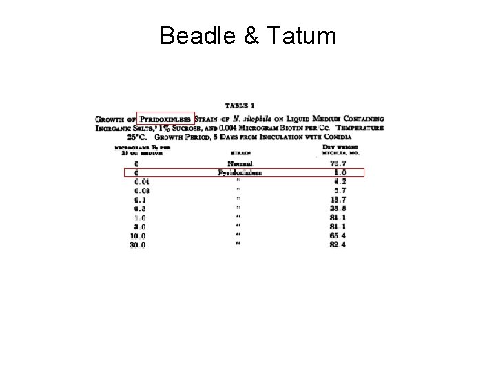 Beadle & Tatum 