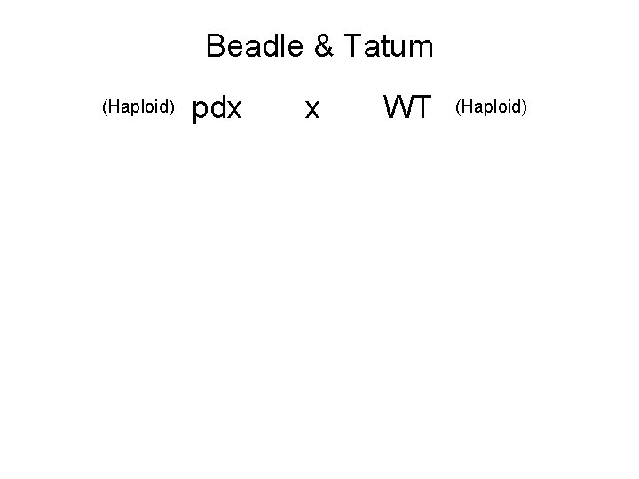 Beadle & Tatum (Haploid) pdx x WT (Haploid) 