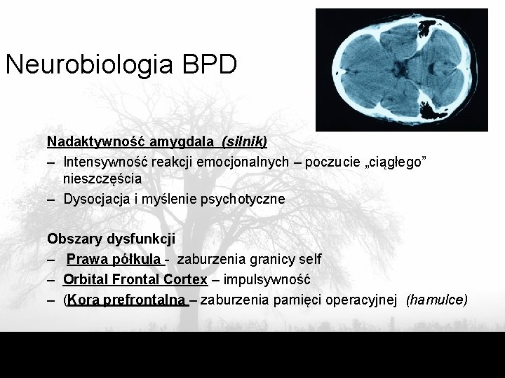 Neurobiologia BPD Nadaktywność amygdala (silnik) – Intensywność reakcji emocjonalnych – poczucie „ciągłego” nieszczęścia –