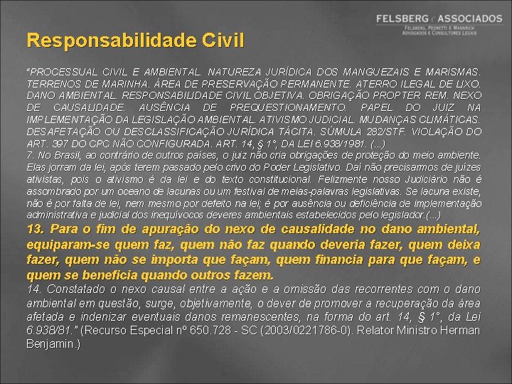 Responsabilidade Civil “PROCESSUAL CIVIL E AMBIENTAL. NATUREZA JURÍDICA DOS MANGUEZAIS E MARISMAS. TERRENOS DE