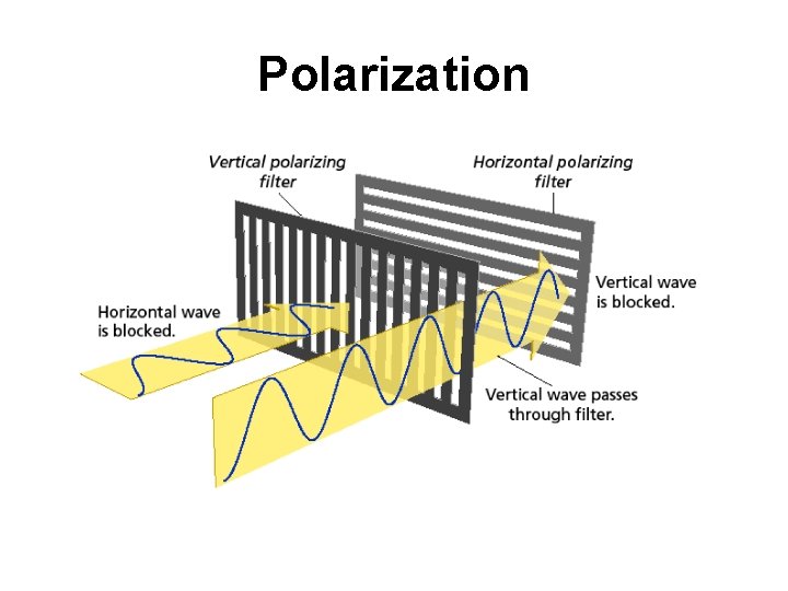Polarization 
