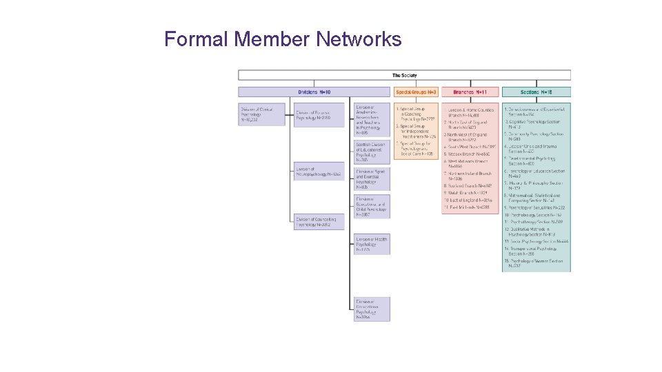 Formal Member Networks 