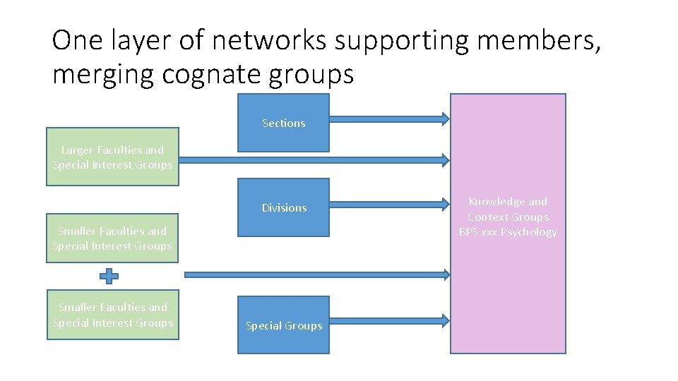 One layer of networks supporting members, merging cognate groups Sections Larger Faculties and Special