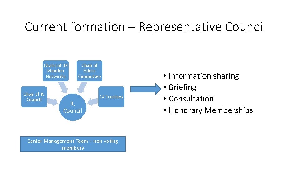 Current formation – Representative Council Chairs of 39 Member Networks Chair of R. Council