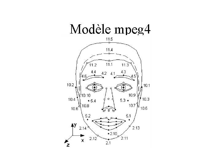 Modèle mpeg 4 
