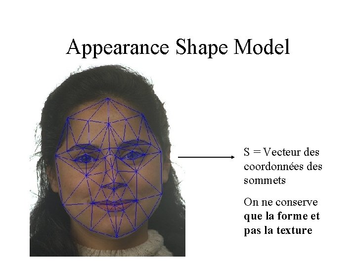 Appearance Shape Model S = Vecteur des coordonnées des sommets On ne conserve que