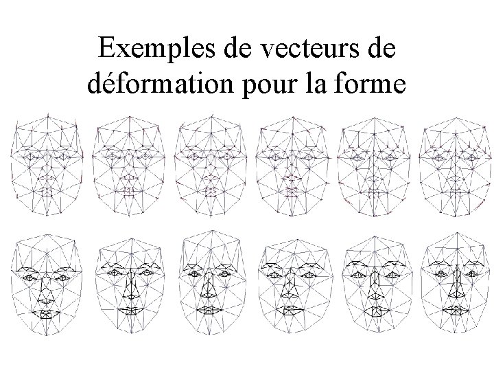 Exemples de vecteurs de déformation pour la forme 