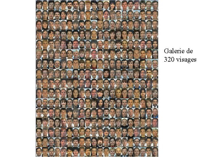 Galerie de 320 visages 